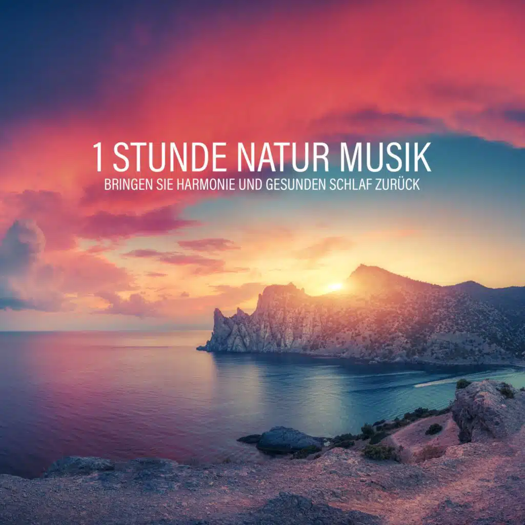 Natürlichen Weiss Musik Academie