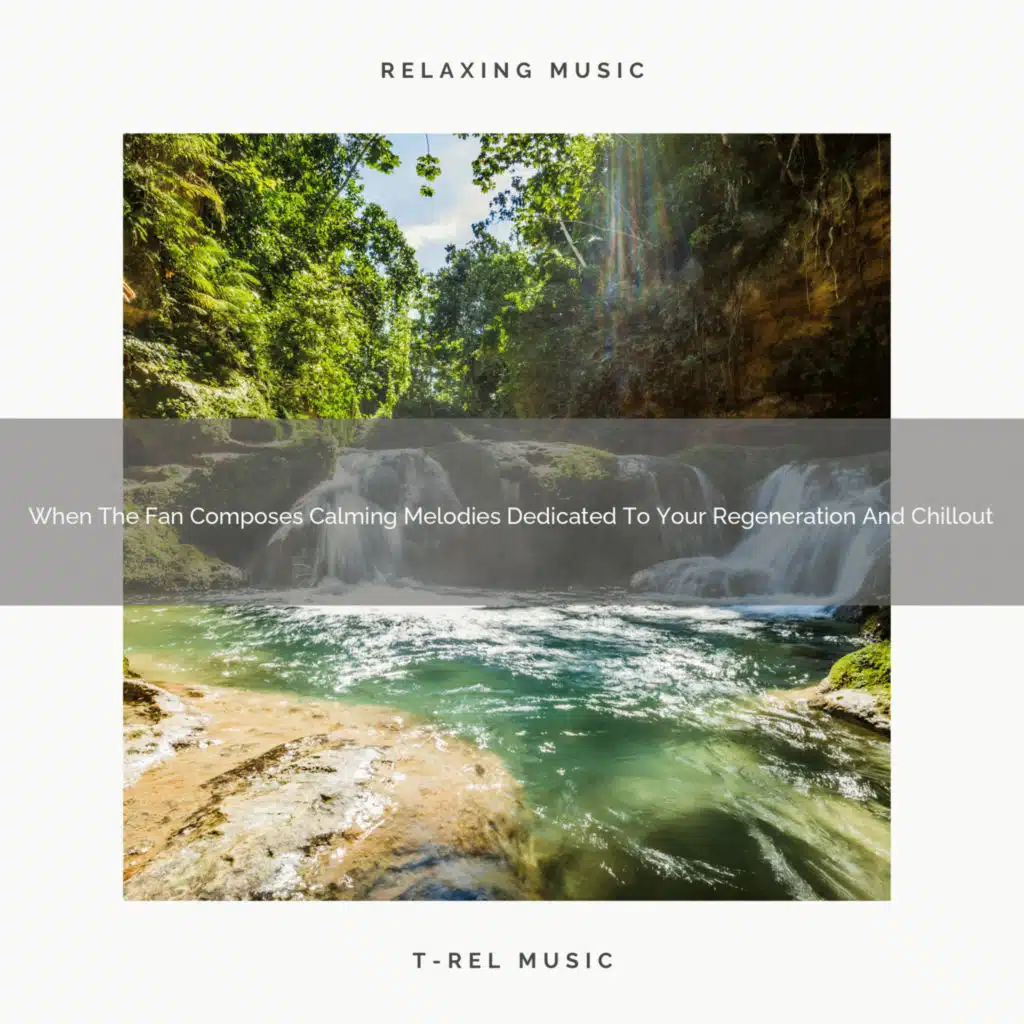 When The Fan Composes Calming Melodies Dedicated To Your Regeneration And Chillout