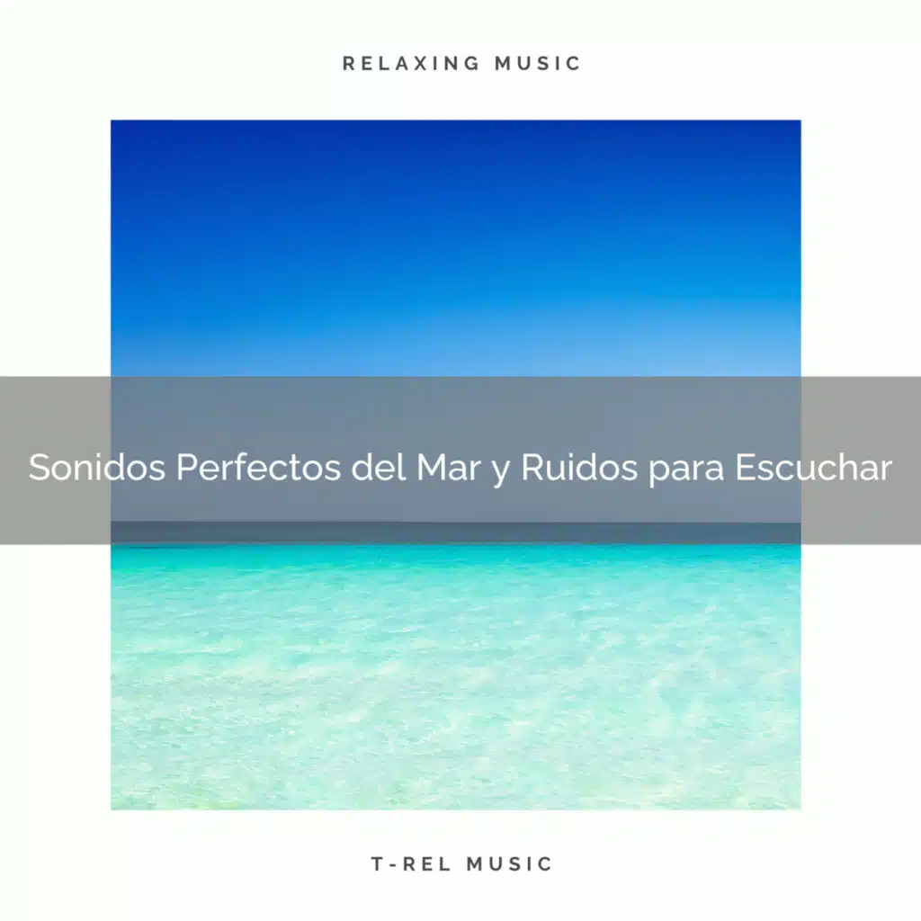 Sonidos Perfectos del Mar y Ruidos para Escuchar