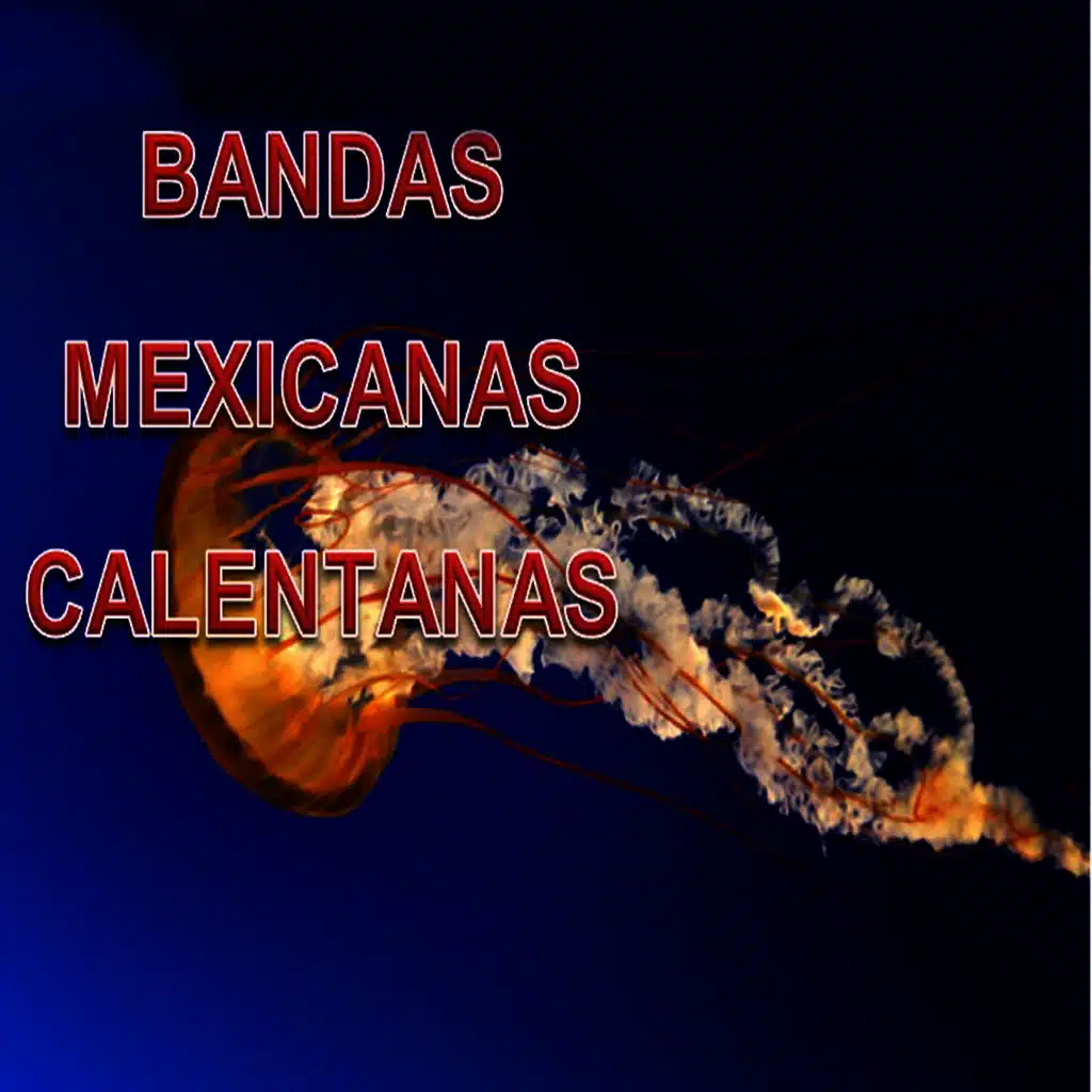 Bandas Mexicanas Calentanas