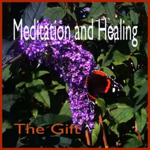 Mediation and Healing