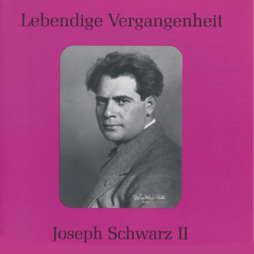 Joseph Schwarz