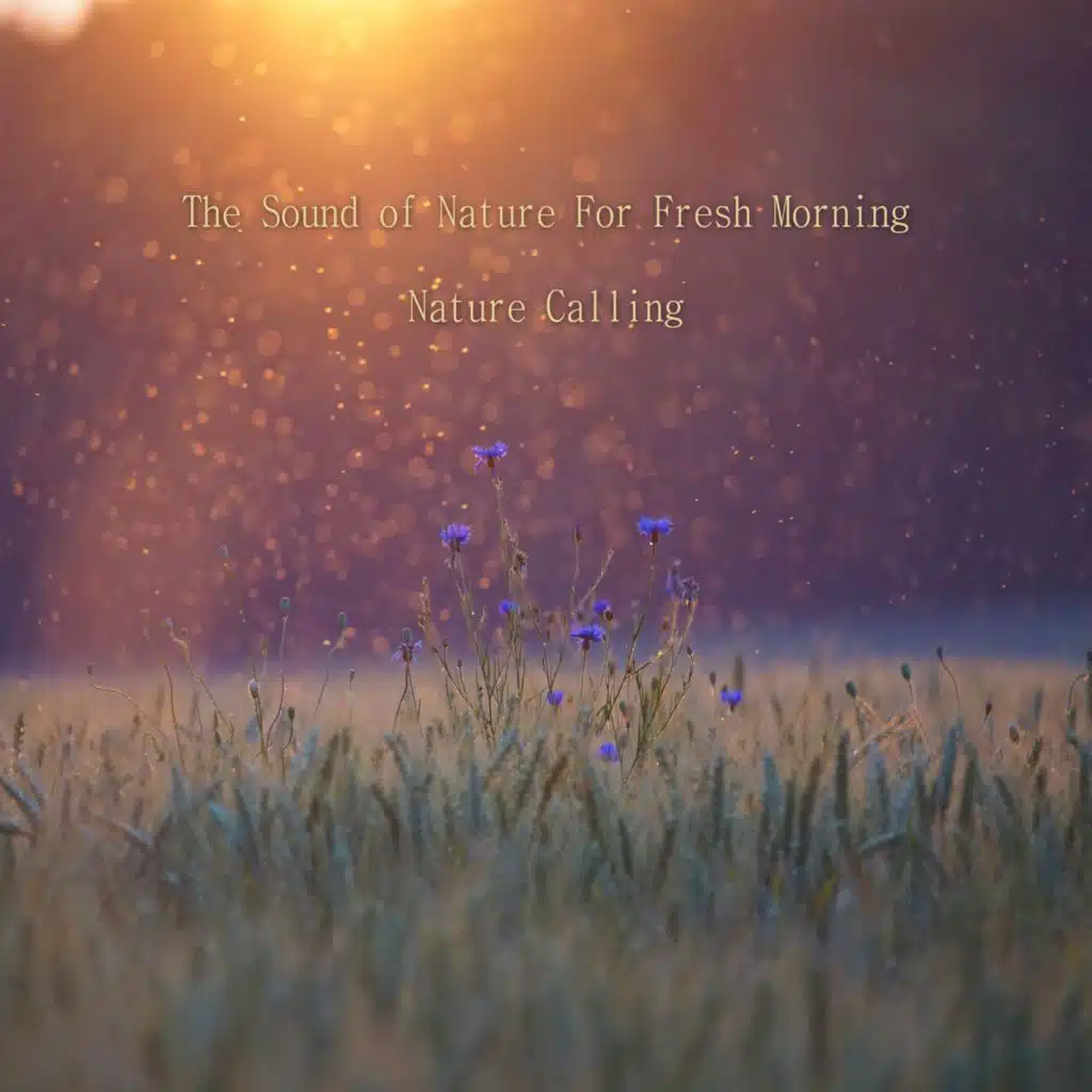 상쾌한 아침을 위한 자연의 소리 The Sound of Nature For Fresh Morning