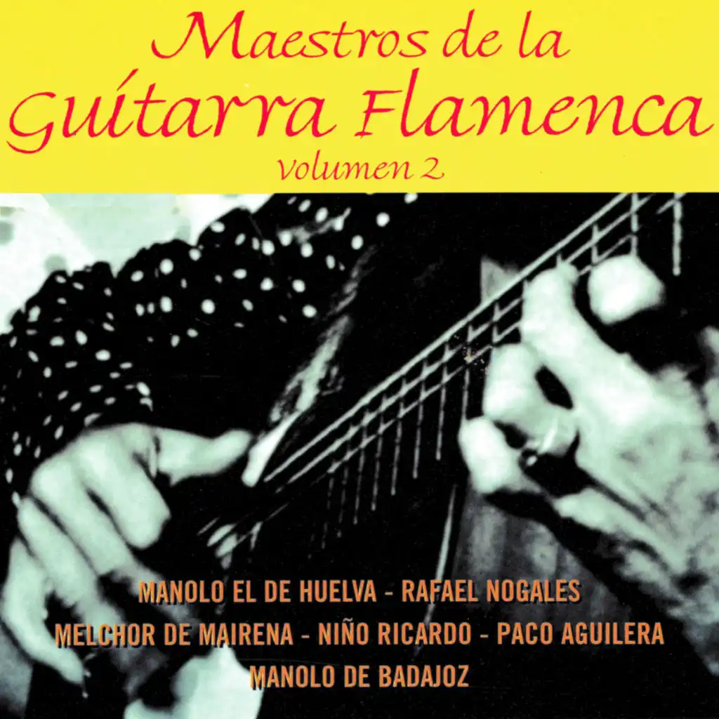 Maestros de la Guitarra Flamenca, Volumen 2