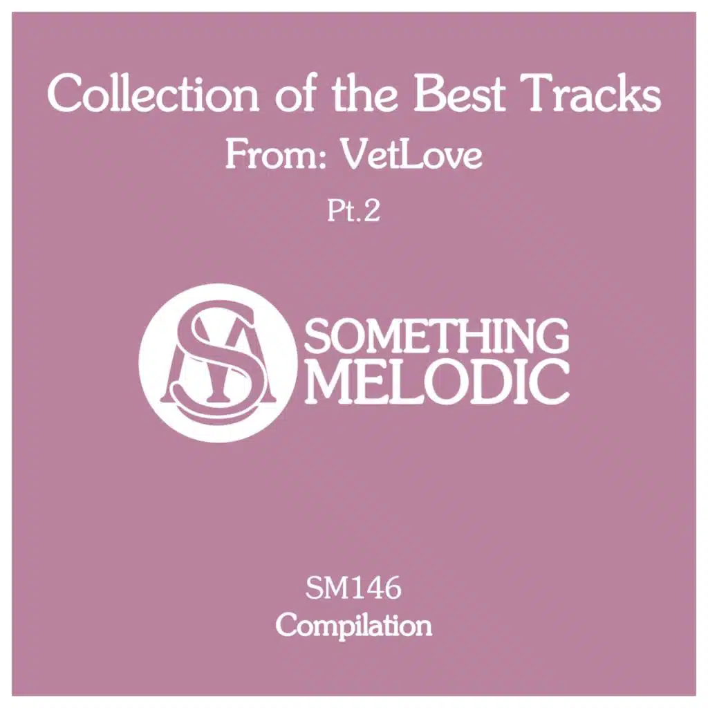Collection of the Best Tracks From: Vetlove, Pt. 2