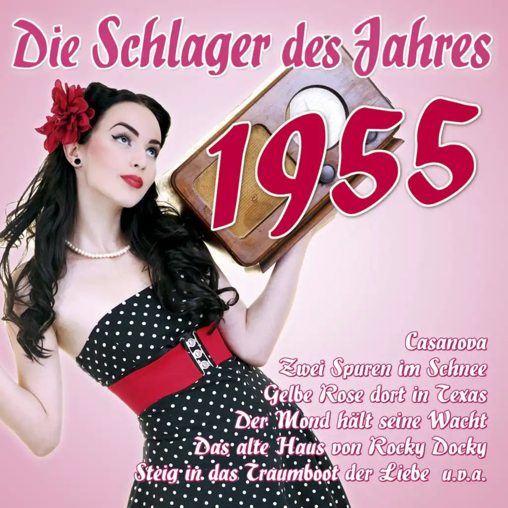 Die Schlager des Jahres 1955