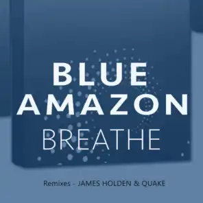 Breathe (James Holden Remix)