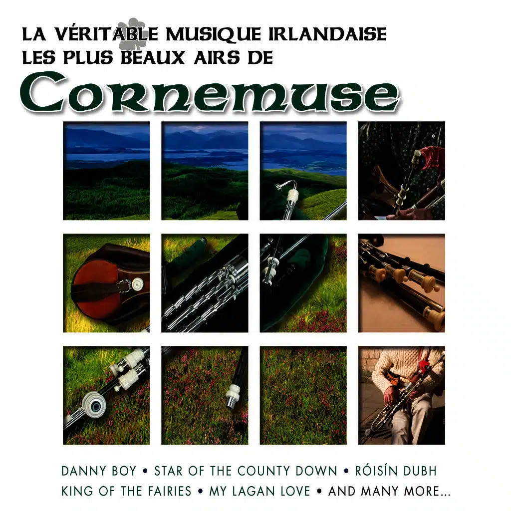 Star of the County Down