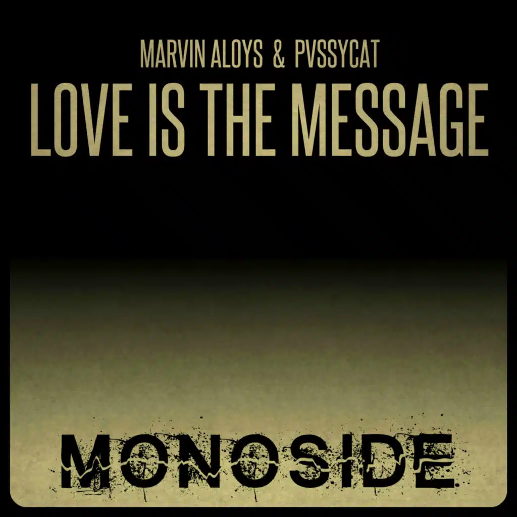 Love Is The Message