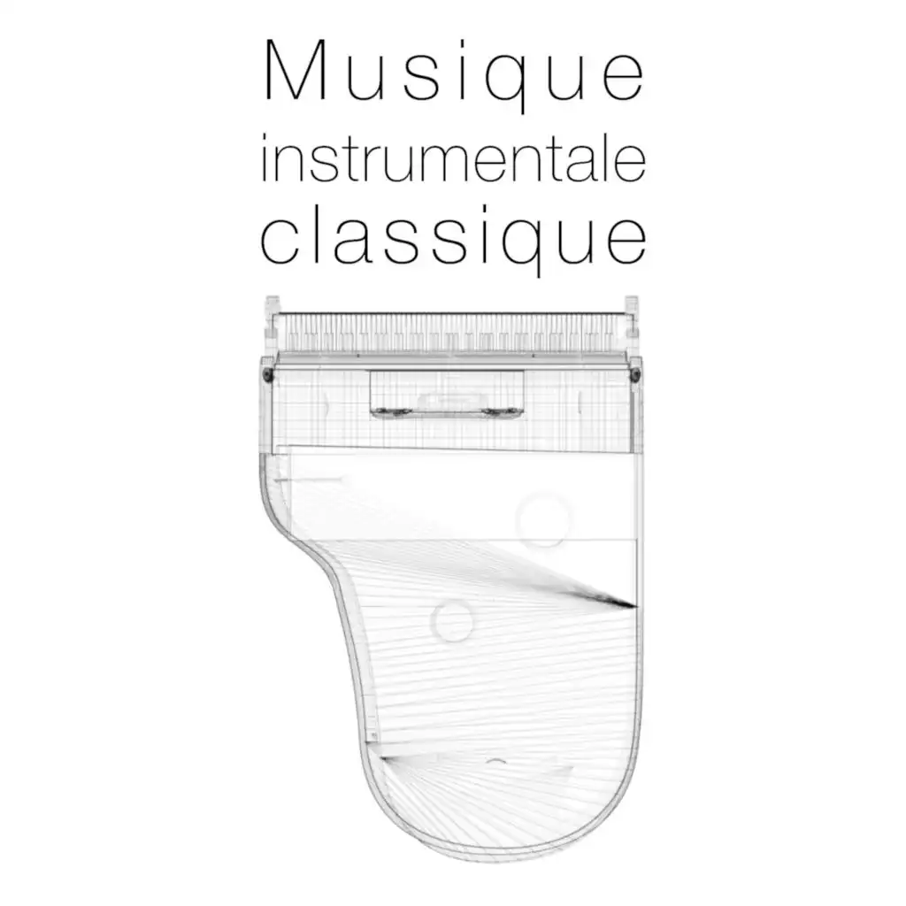 Musique instrumentale classique