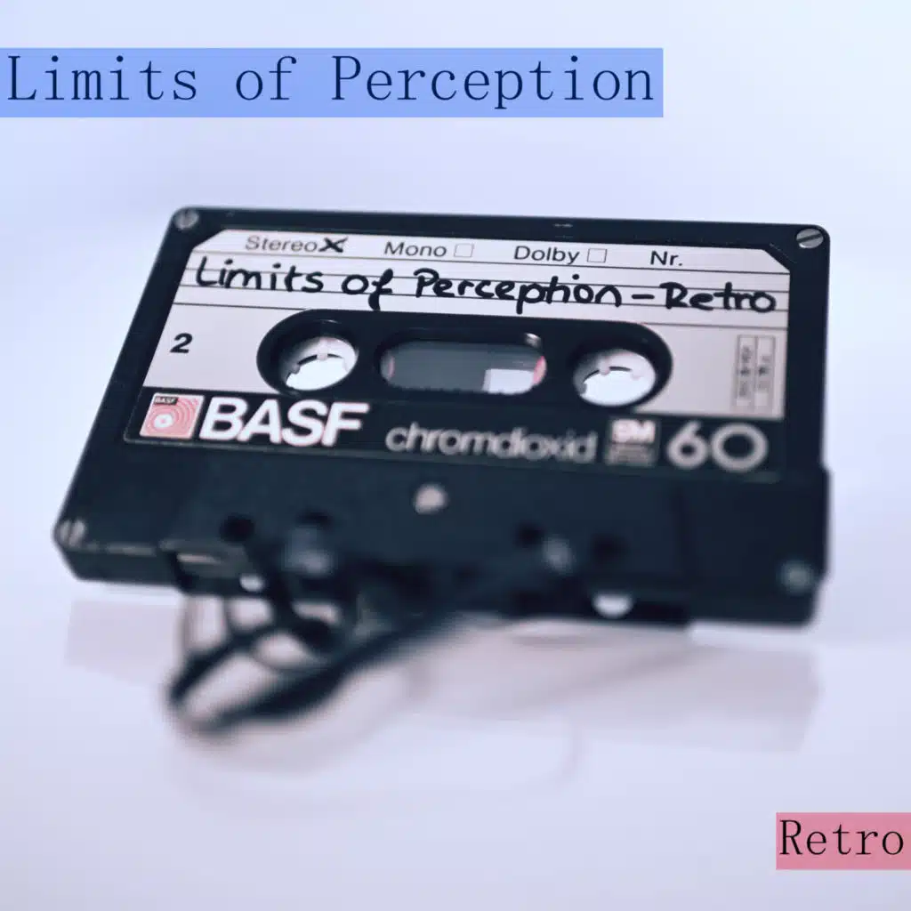 Limits of Perception