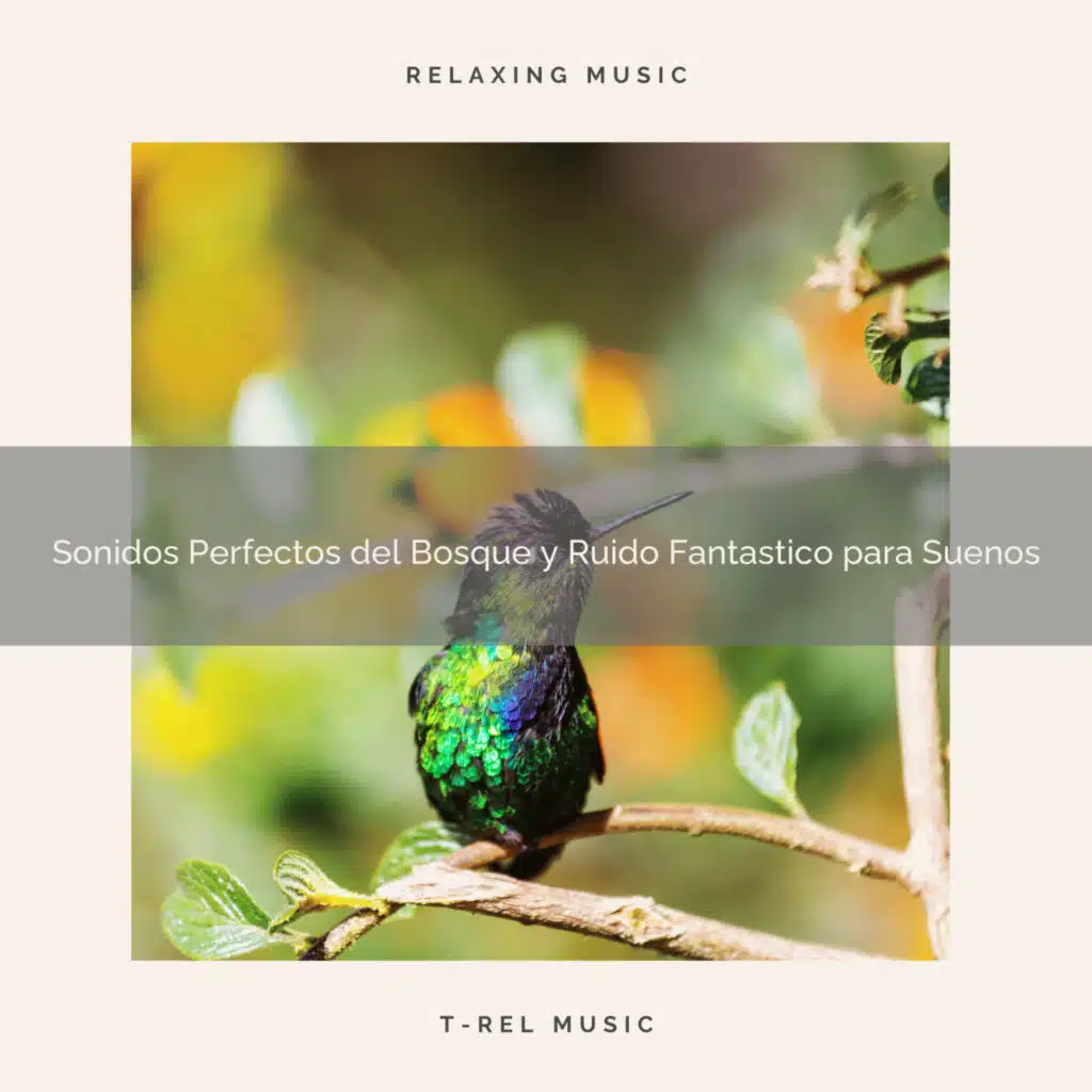 Sonidos Perfectos del Bosque y Ruido Fantastico para Suenos