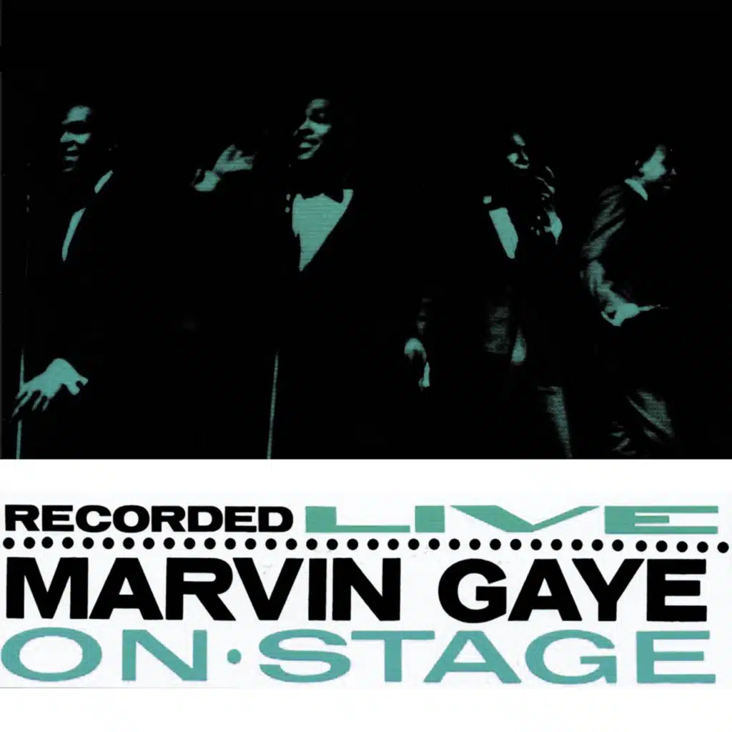 Stubborn Kind of Fellow