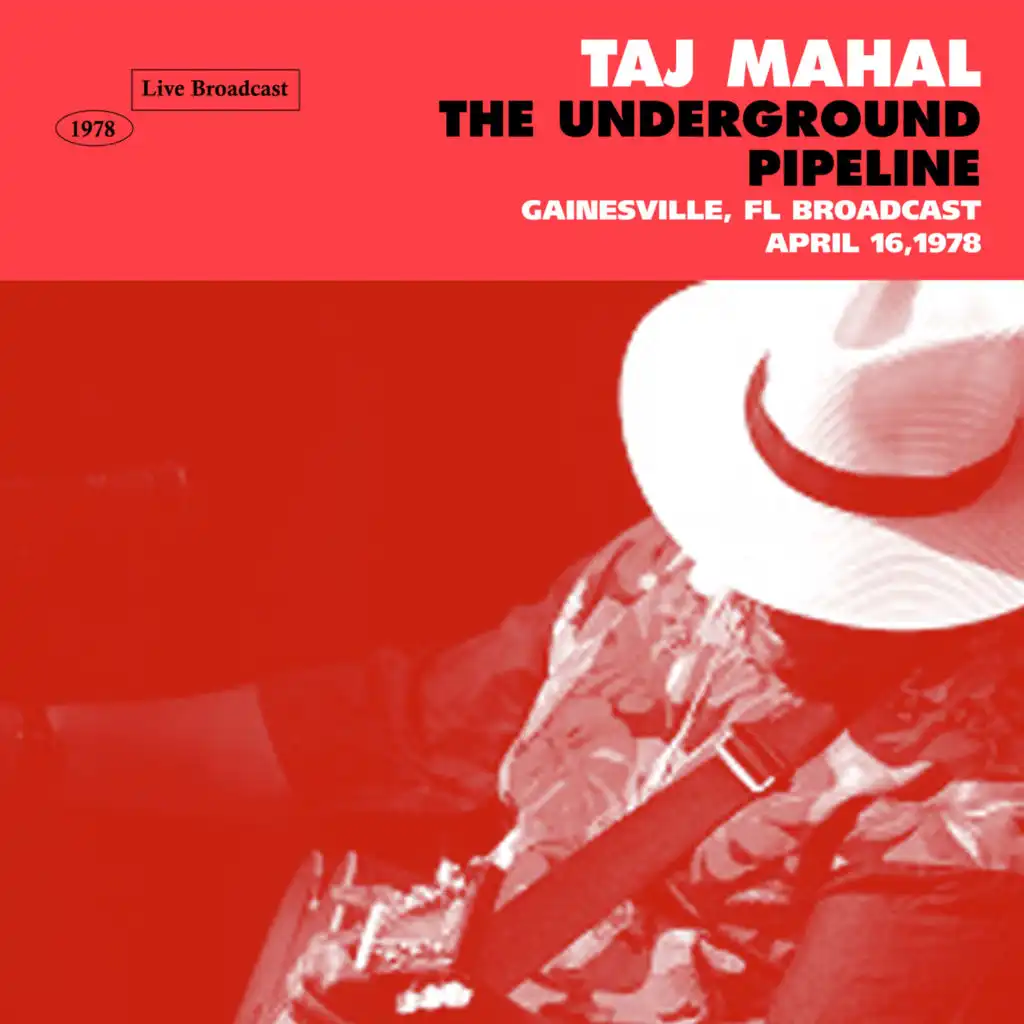 The Underground Pipeline (Live, Gainesville, 1978)