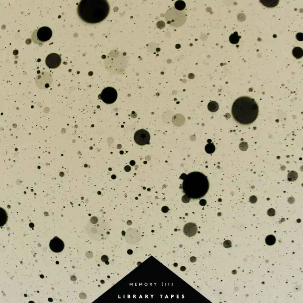 Library Tapes: Memory (II)