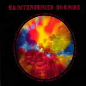 Canterburied Sounds Vol. 2