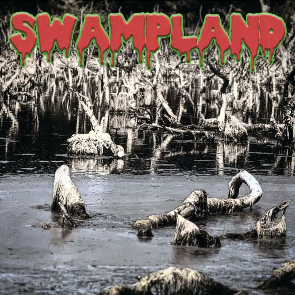 Swampland