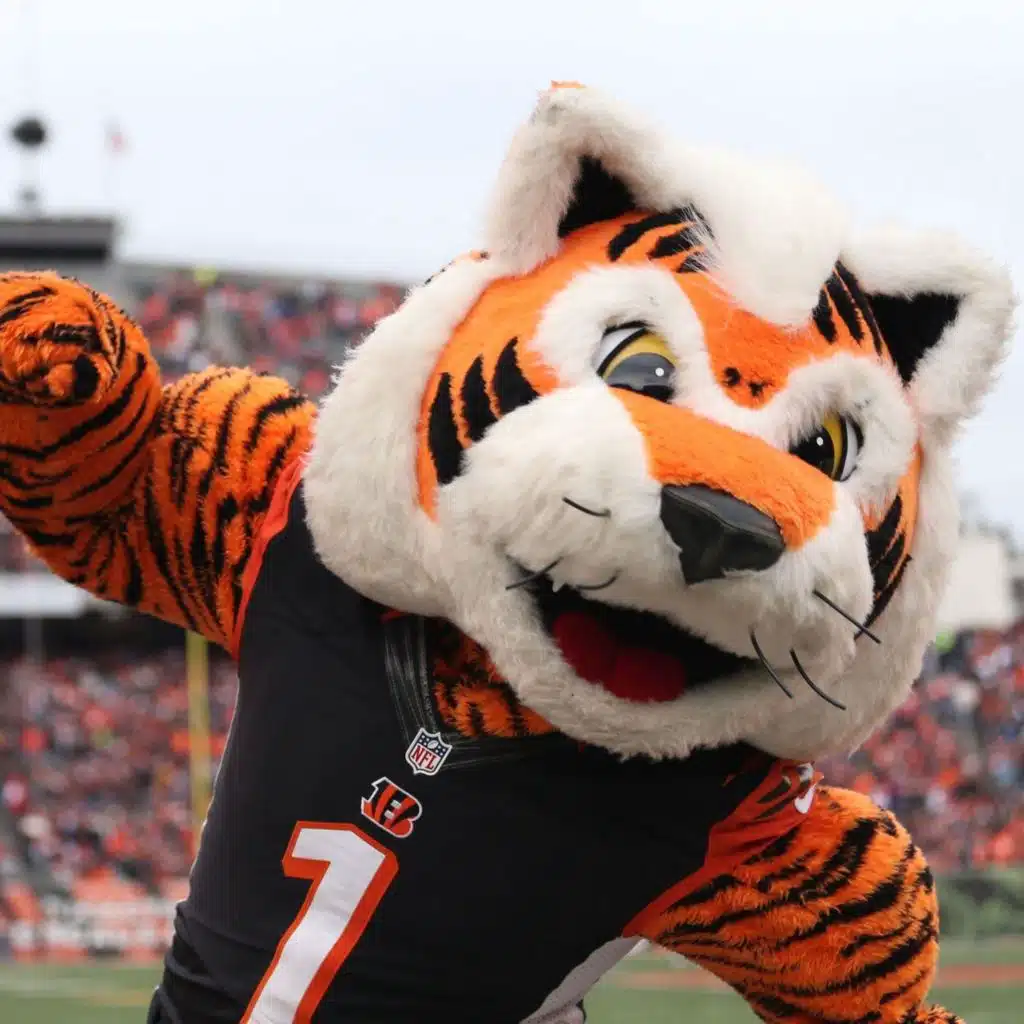 Who Dey Bengals Ho Hey II