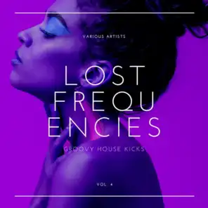 Lost Frequencies (Groovy House Kicks), Vol. 4
