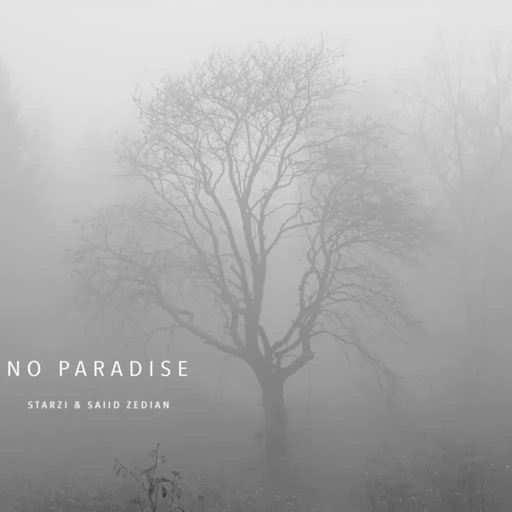 Saiid Zeidan & Starzi