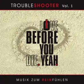 Troubleshooter, Vol. 1