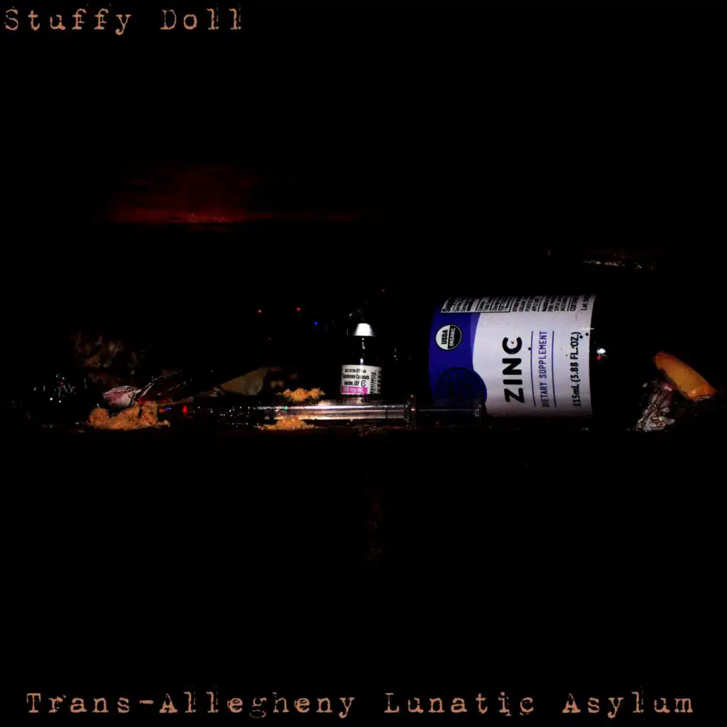 Trans-Allegheny Lunatic Asylum