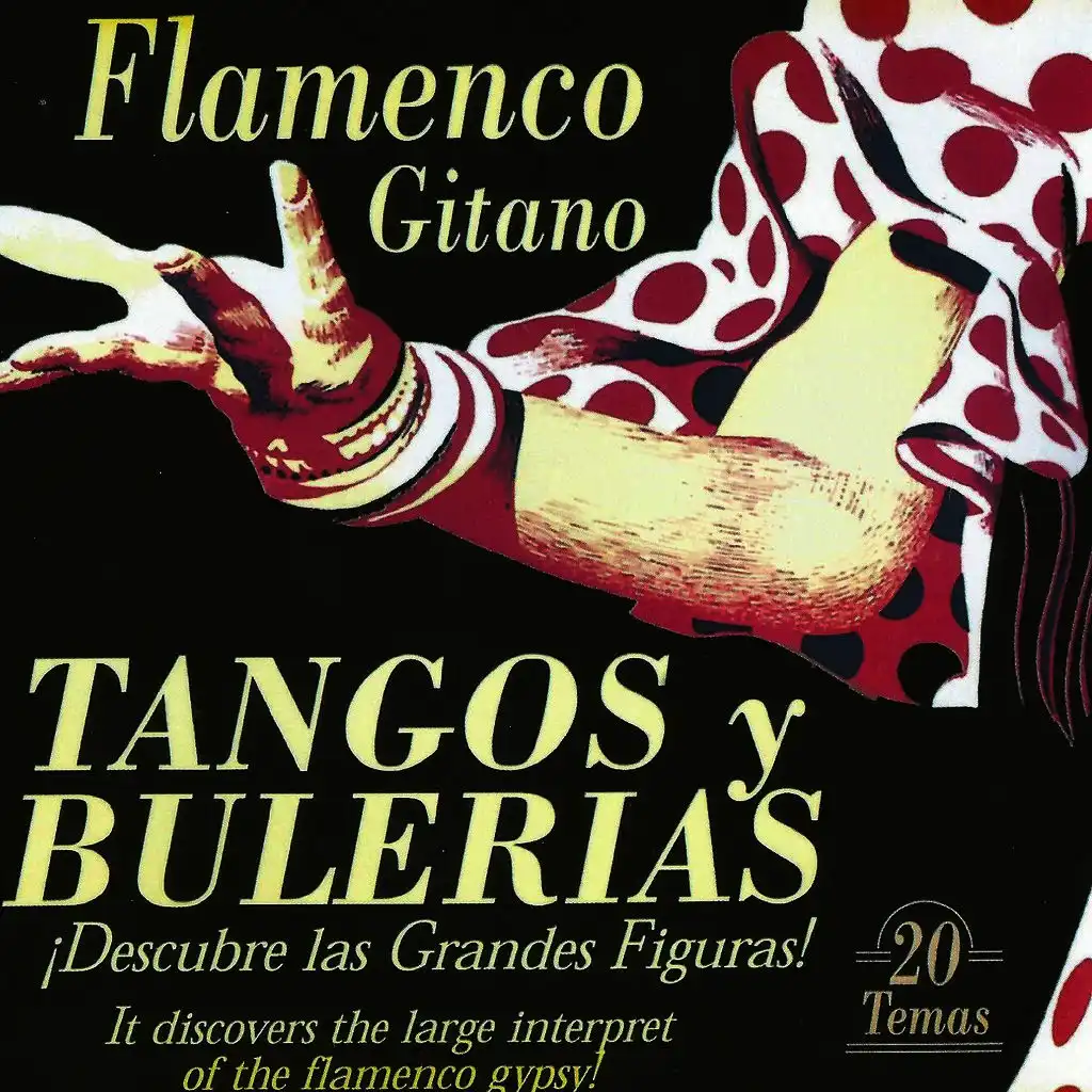 Flamenco Gitano - Tangos y Bulerías Vol. 1