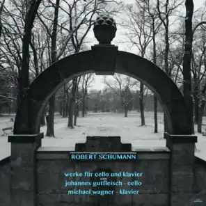 schumann sessions (feat. Michael Wagner)