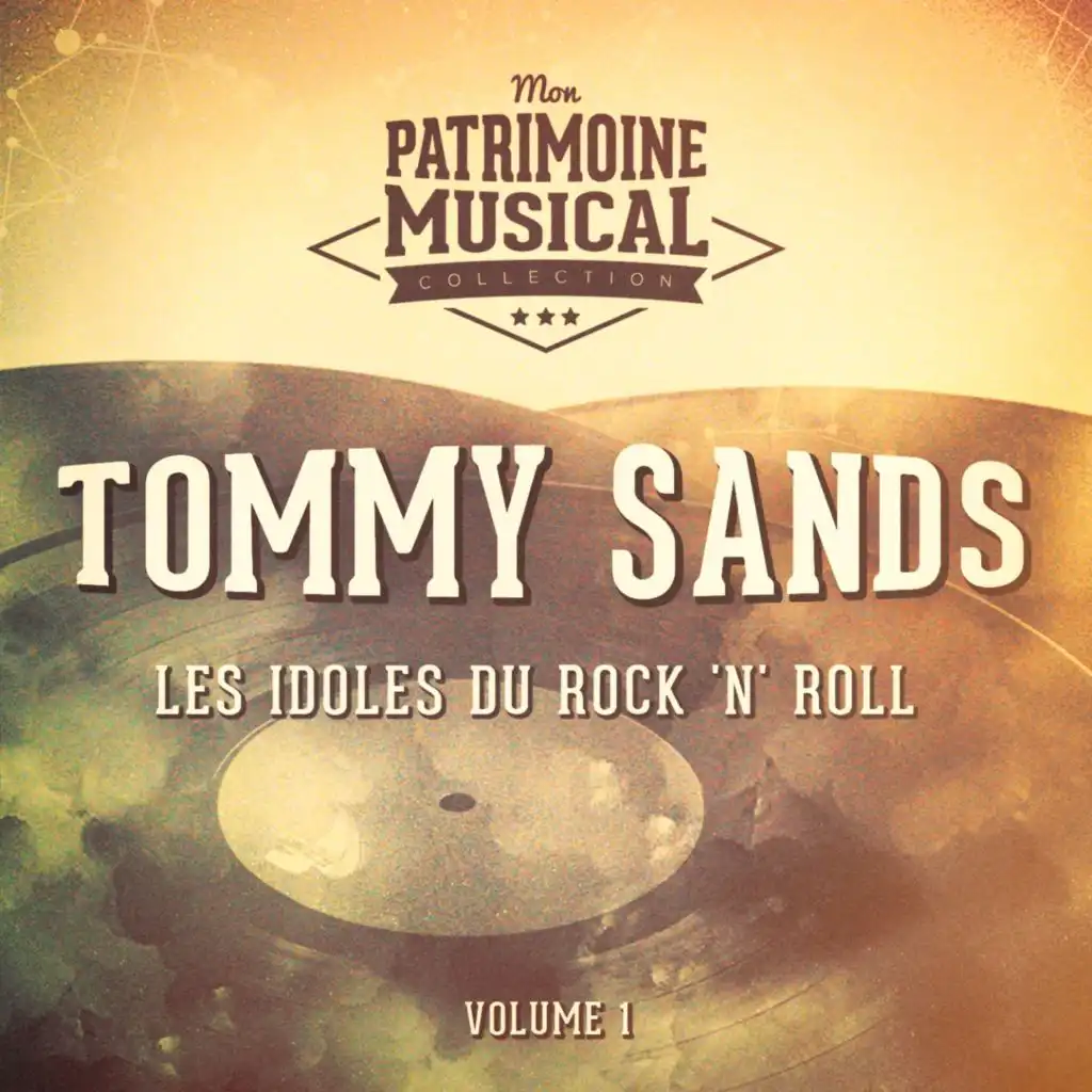 Les Idoles Du Rock 'N' Roll: Tommy Sands, Vol. 1