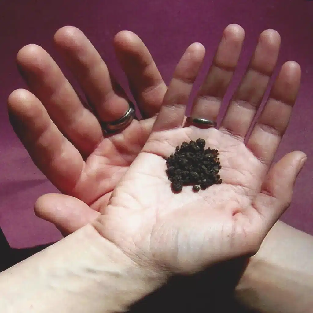 Invitation to the Unknown