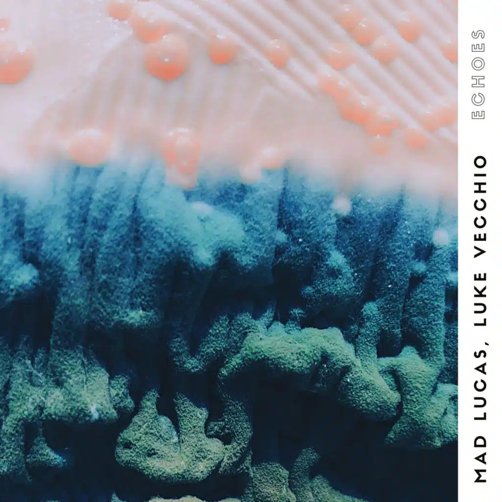 Echoes (feat. Luke Vecchio)