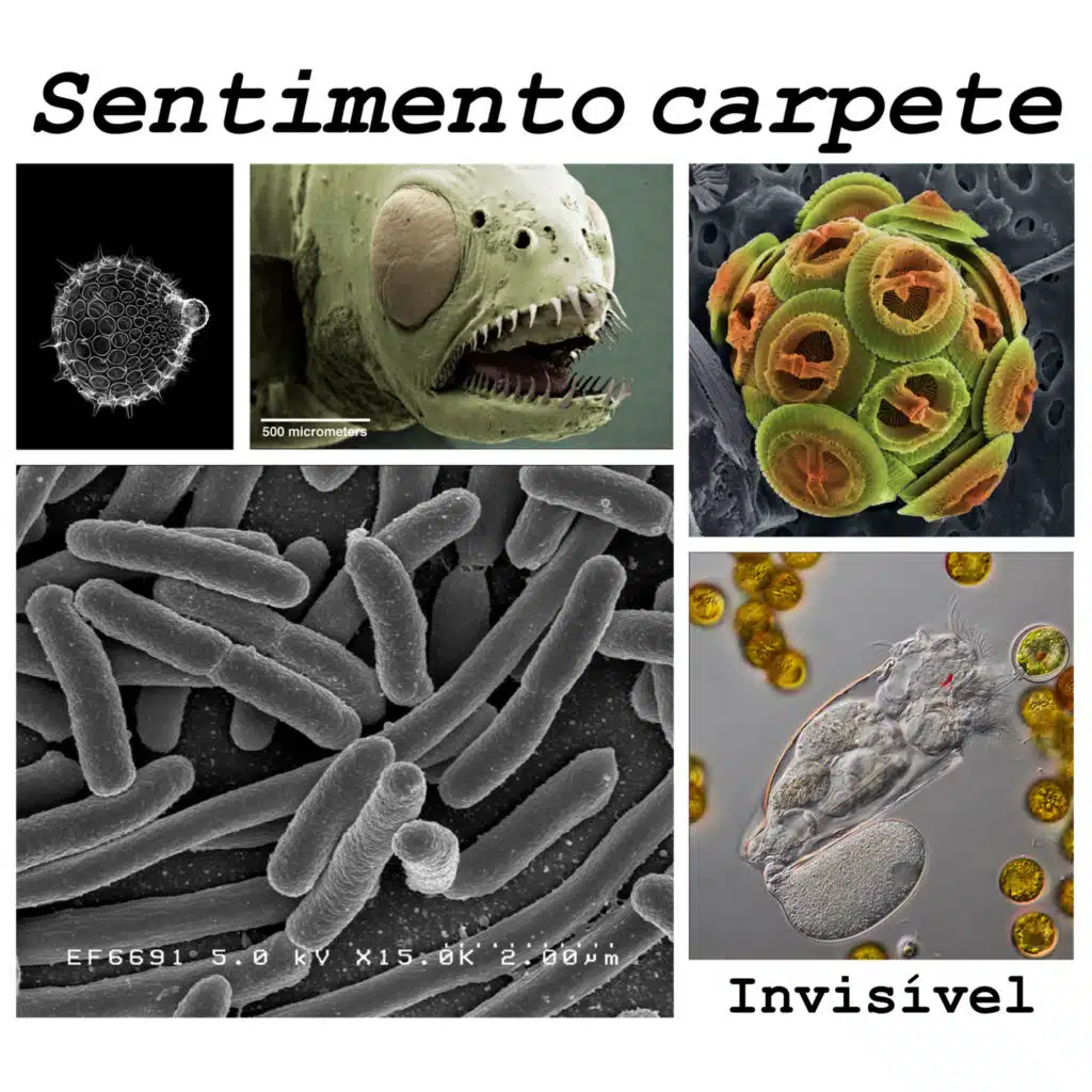 Invisível