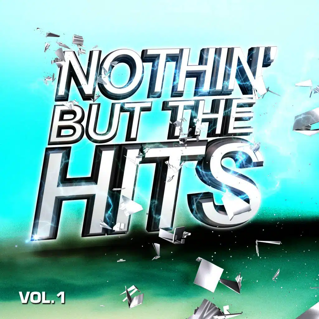 Nothin' But The Hits Vol. 1
