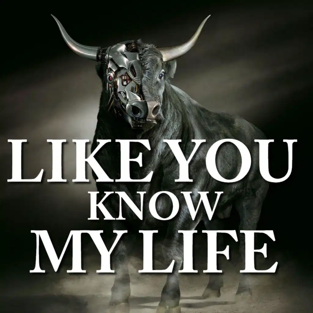 Like You Know My Life