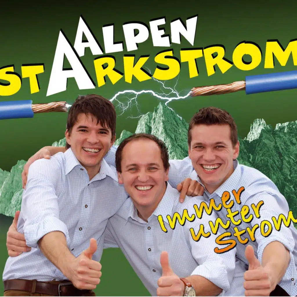 Musik im Bluat (Radio Mix)