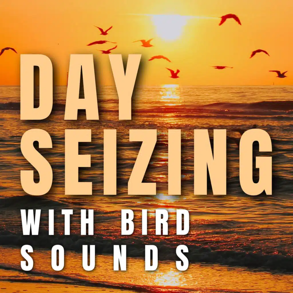 Day Seizing with Bird Sounds