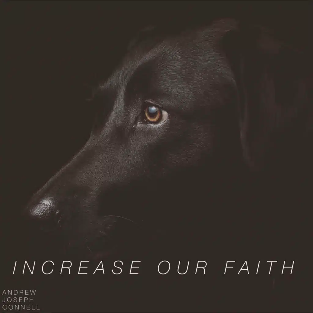 Increase Our Faith
