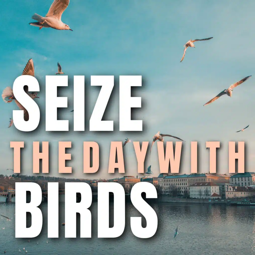Seize the day with Birds