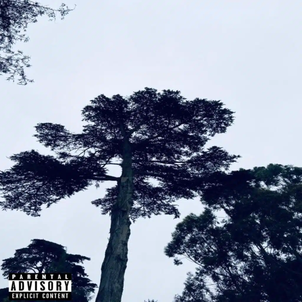 Lit & Sad