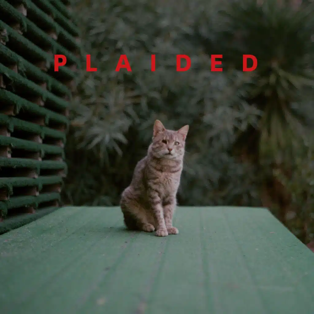 Plaided