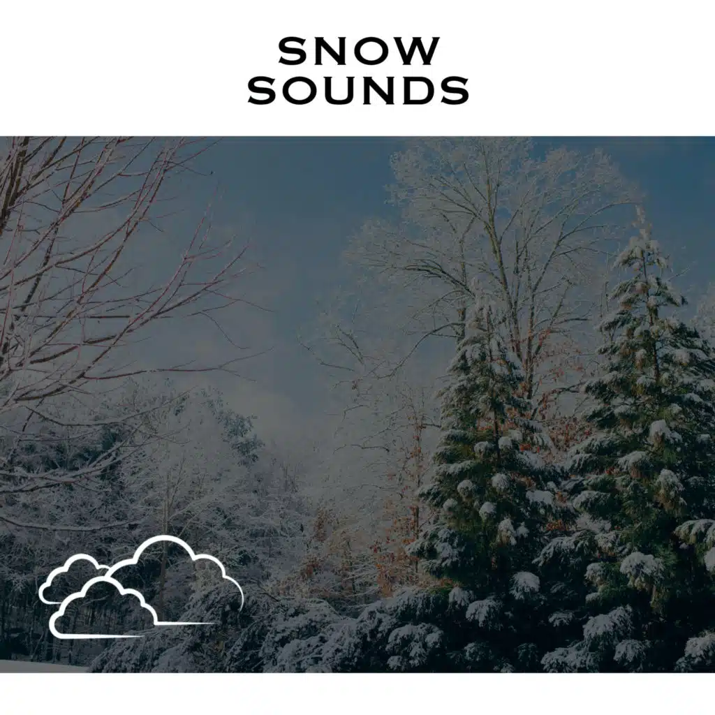 Winter Storms - No Fade