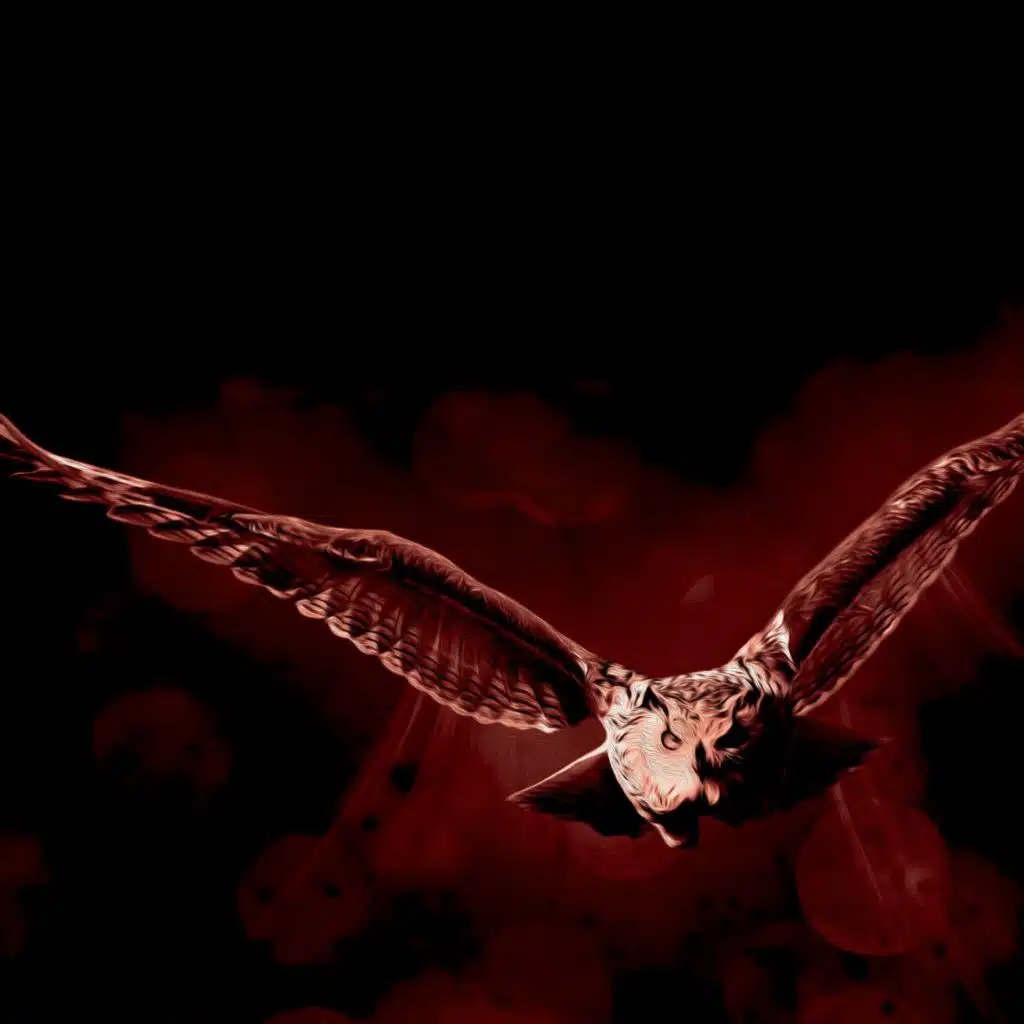Prey