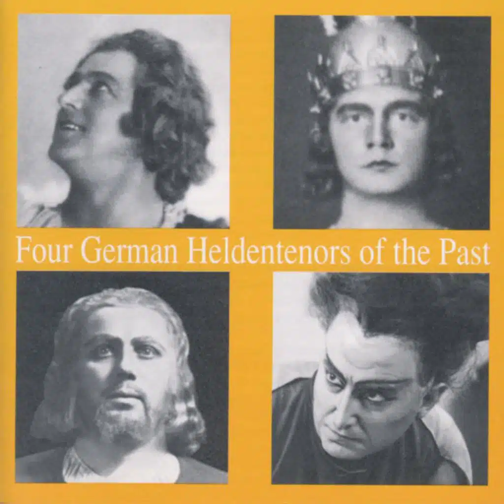 Ich seh` die heissen Zähren (Rigoletto)