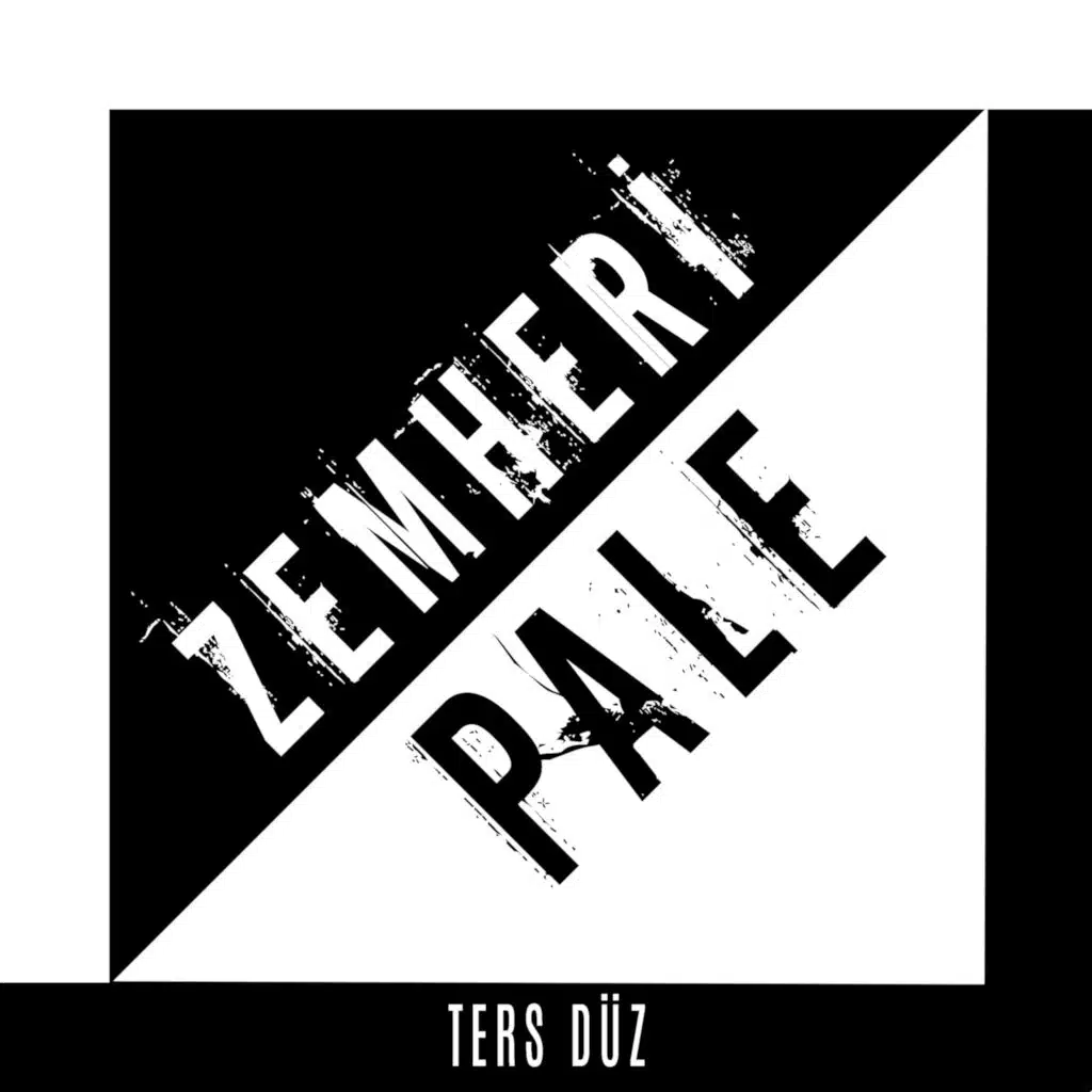 Ters Düz