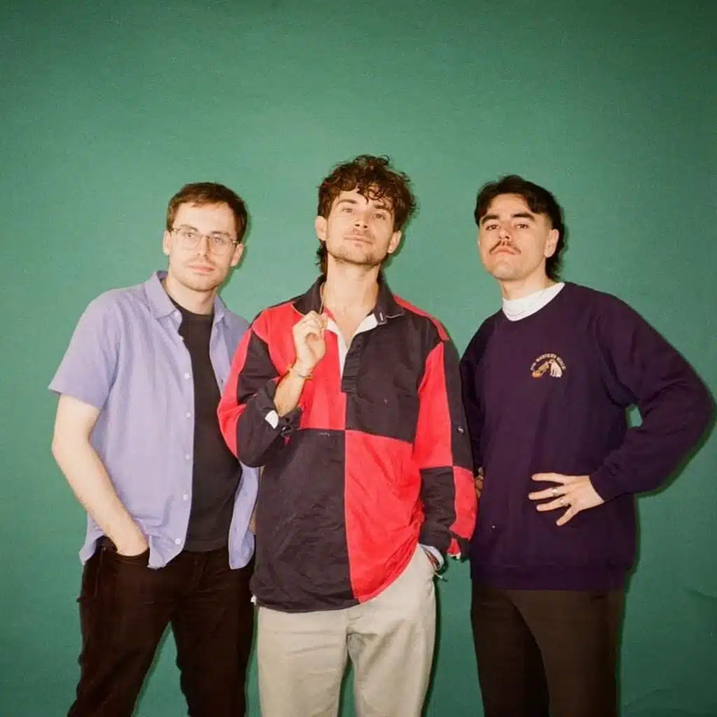 Dutch Criminal Record