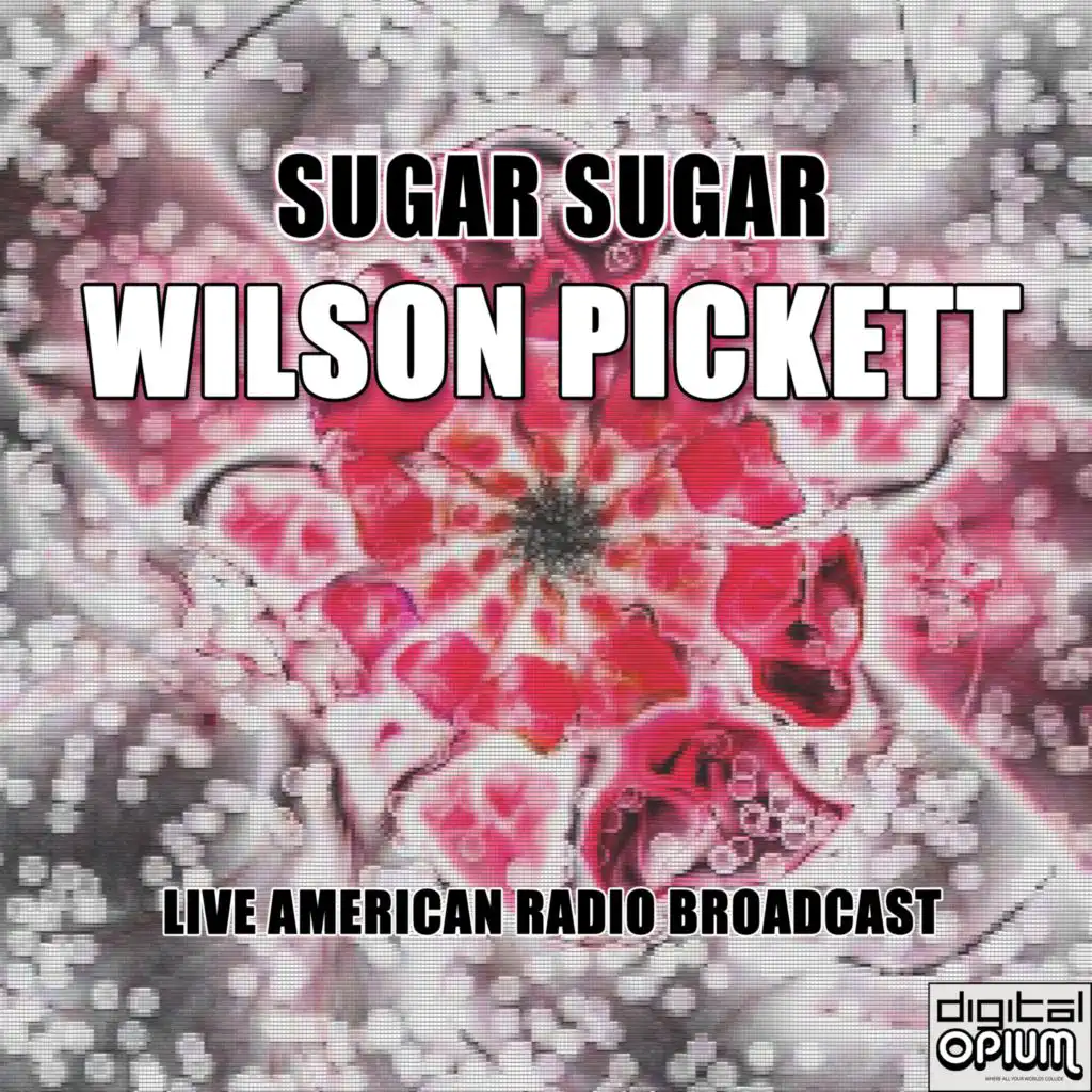 Sugar Sugar (Live)