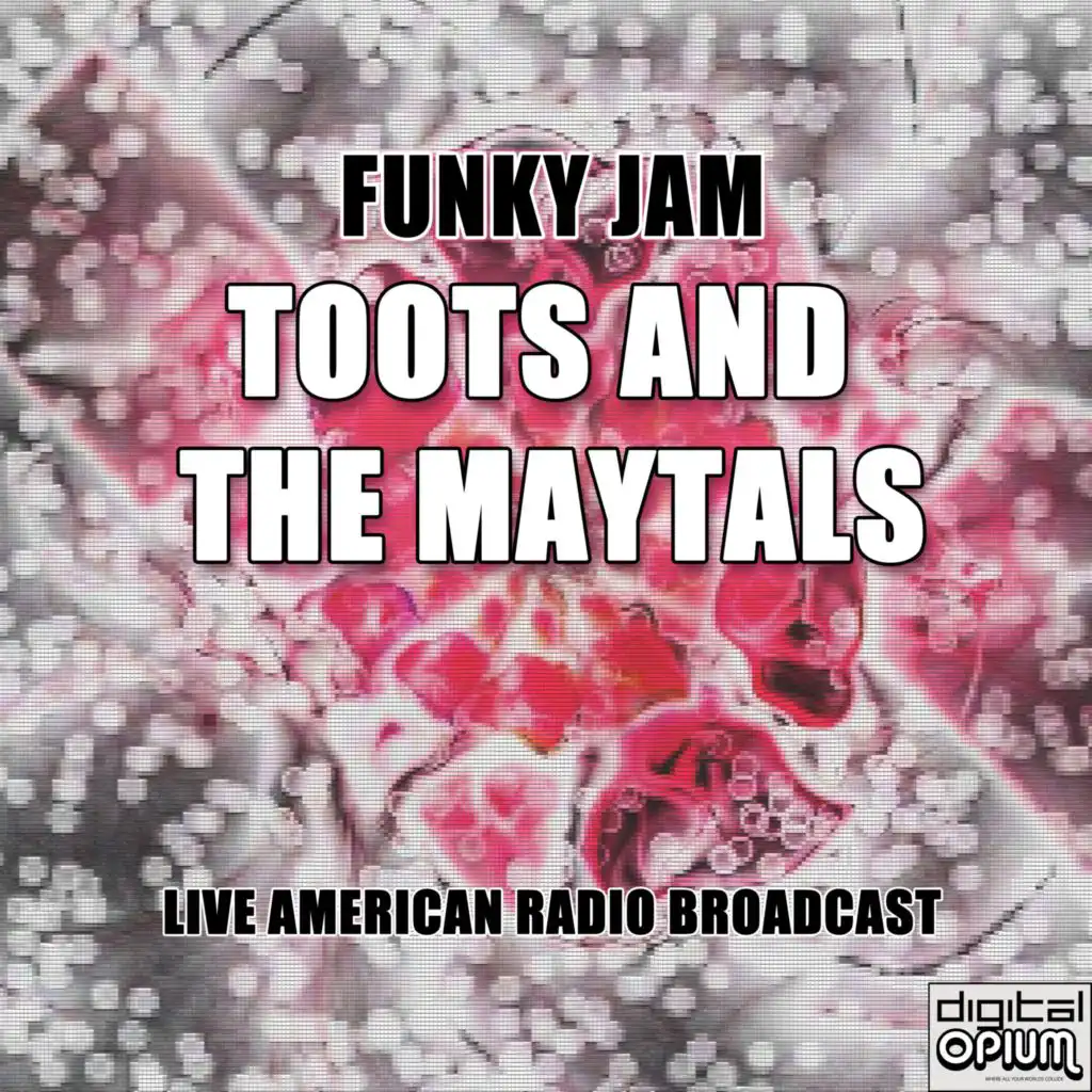 Funky Jam (Live)