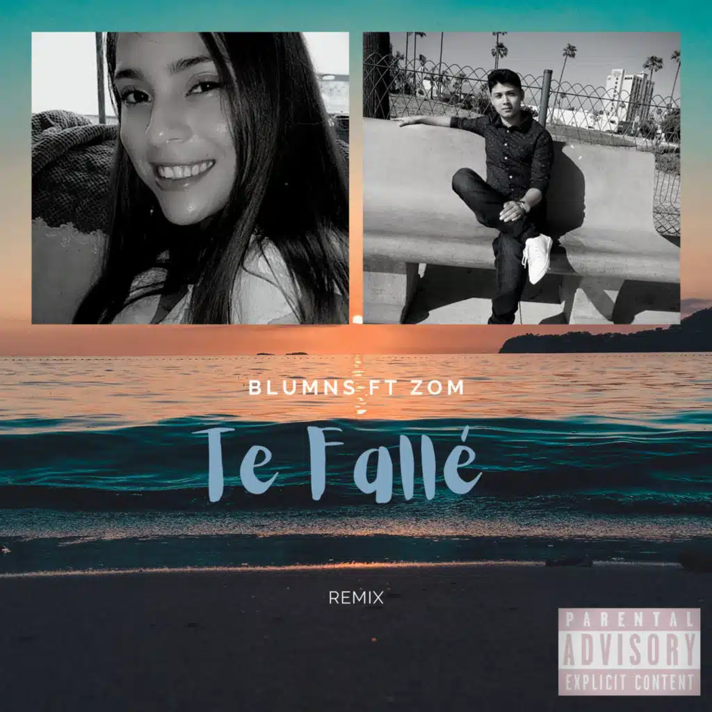 Te Fallé (Remix) [feat. Zom]