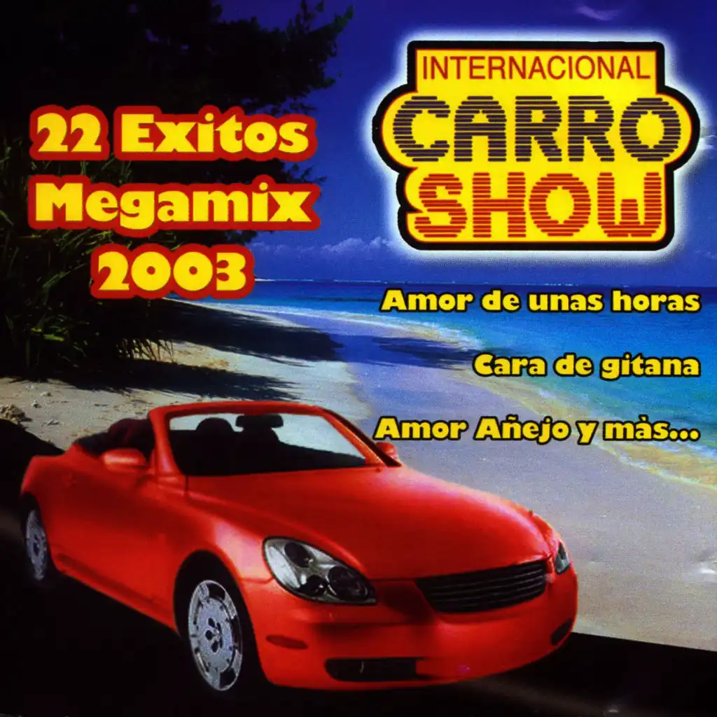 22 Exitos Megamix