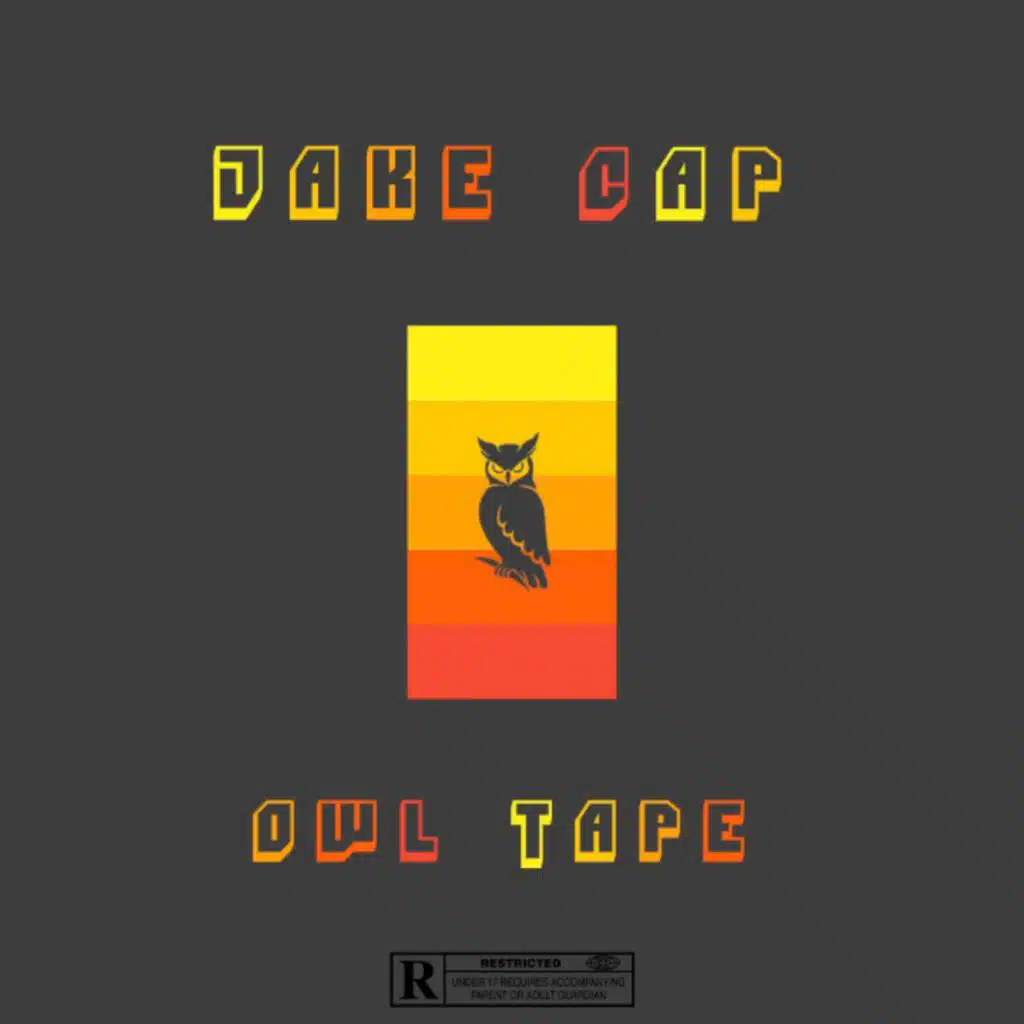 Owl Tape